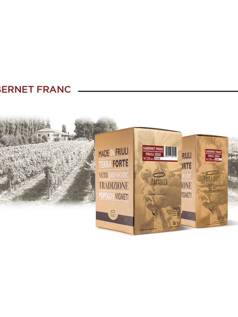 BAG IN BOX 5 Litri Cabernet Franc Friuli D.O.P.
