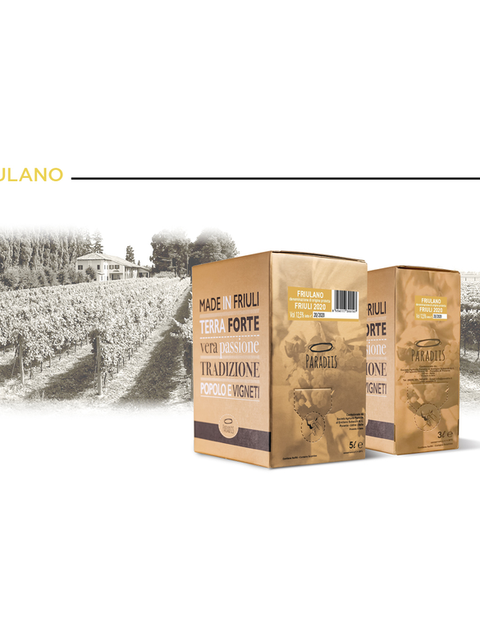 BAG IN BOX 5 L Friulano Friuli D.O.P.