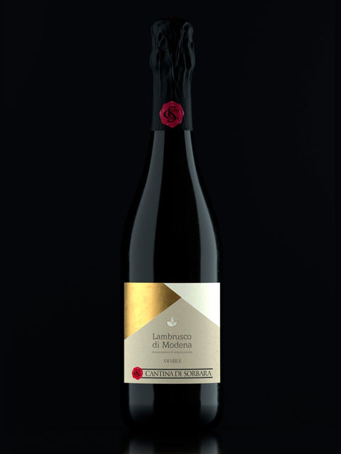 Lambrusco di Modena DOP frizzante amabile 0,75 L
