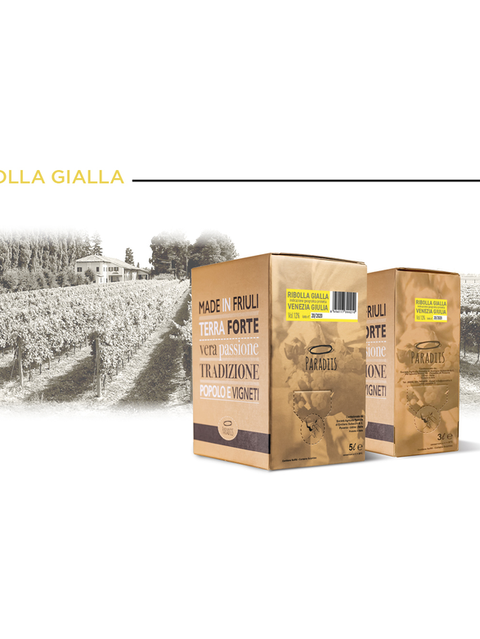 BAG IN BOX 5 Litri Ribolla Gialla I.G.P. Venezia Giulia